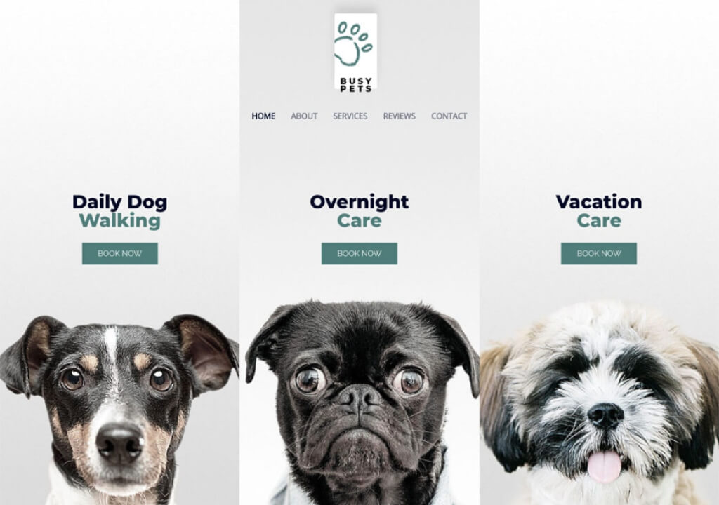 Pet Lover digital download store theme product featured image 8